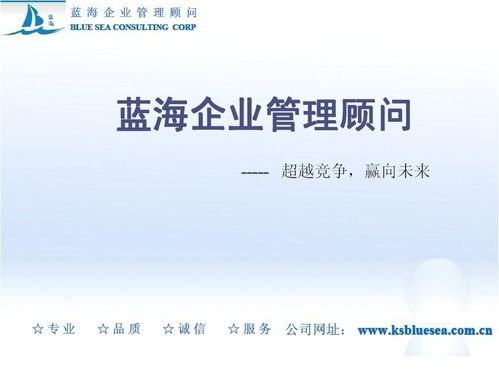 探索蓝海 企业管理咨询的创新之路