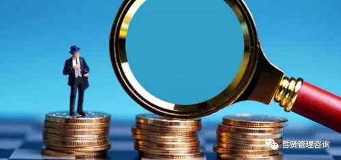 企业管理职能与原则 掌握企业高效运营的核心框架